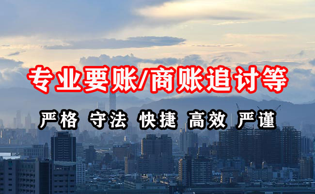 定日追账公司
